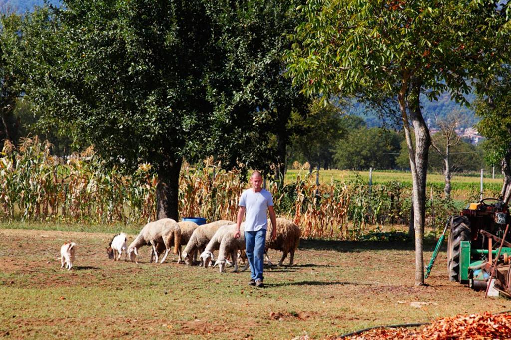 Azienda Agrituristica Pericle Montella Exterior photo